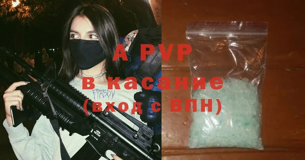 хмурый Абаза