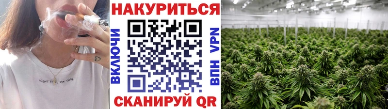 сайты даркнета состав  Шахунья  Конопля тримм  blacksprut зеркало 